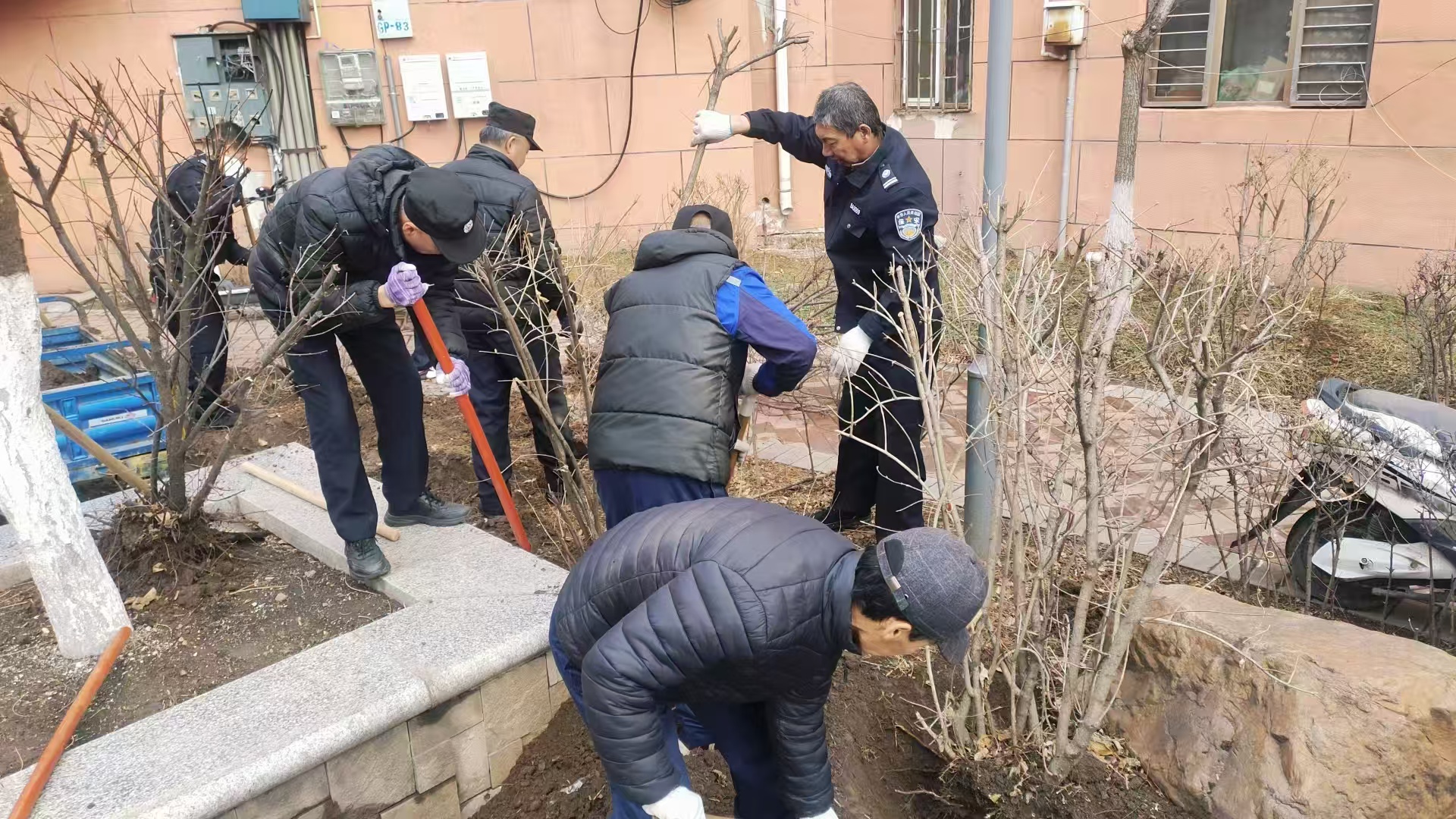 汤原物业补栽4000株绿植(图1)