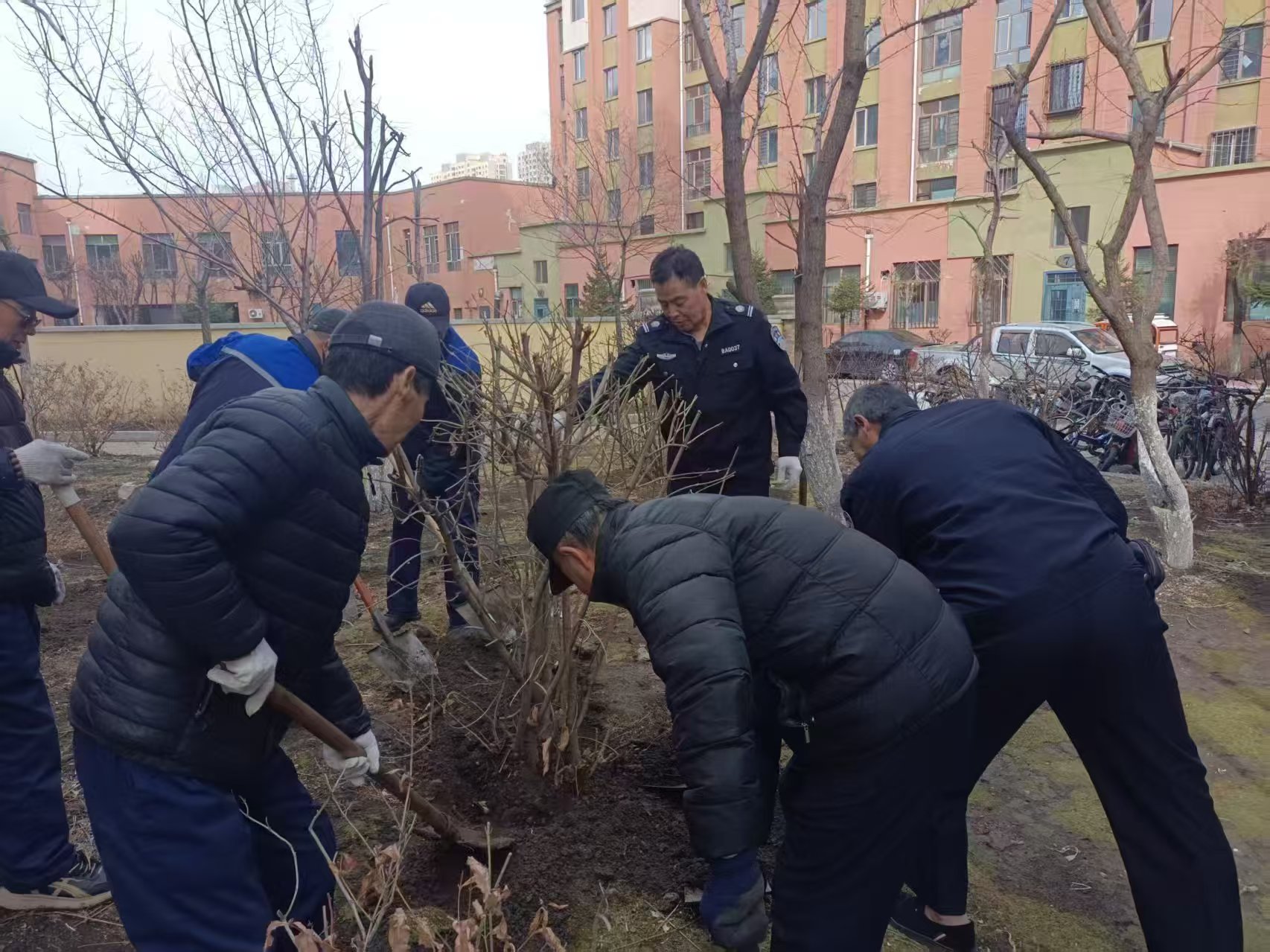 汤原物业补栽4000株绿植(图2)